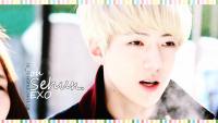 :SEHUN MY LOVE & IDOL:♥HD