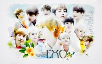 EXO :: Nature Republic :: 2013