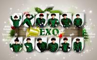 EXO : Miracle In December album 3