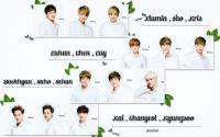 :: EXO nature republic::