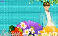 Oh Sehun - Simple Nature [PSD]