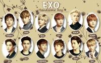 EXO:Handsome Boy