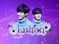 LUHAN:EXO wallpaper