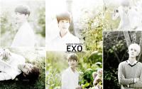 :EXO K - Nature republic: