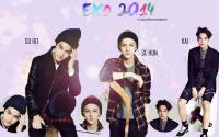 EXO 2014