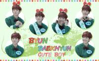 EXO:BYUN BAEKHYUN::Cute Boy
