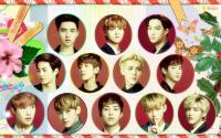 exo exo