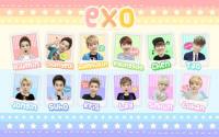 Colorful EXO