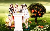 :Girl's Day In Wonderland: