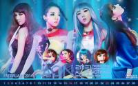 Calendar 2014 Set ::2014 2NE1 AON World Tour in Seoul February::