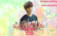 Exo - Luhan.cdfr