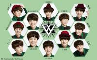 EXO WE ARE ONE