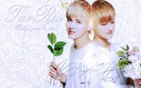 EXO :: TAORIS ver. 2