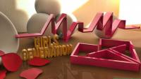 SNSD:Mr.MR. 3D LOGO