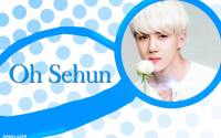 Blue Sehun