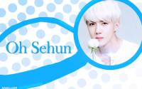 Blue Sehun ver.2