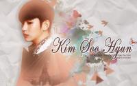 Kim Soo Hyun