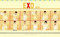 EXO for Sunny 10