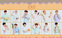 EXO SOCUTE