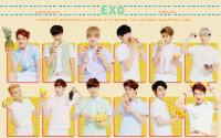 EXO SOCUTE VER.2