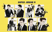 SJM SWING VER.1