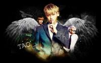 Tao exo