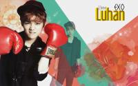 Luhan: exo set