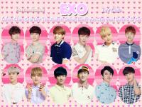 EXO Ivy Club