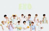 EXO Ivy Club 2014