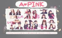 A-PINK : PINK BLOSSOM