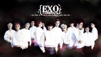 EXO :: COMEBACK 2014