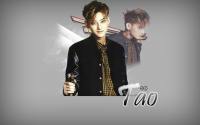 TAO:exo set