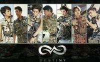 Infinite - Destiny