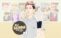 HBD ♥ SEHUN :: EXO [12.04.94]