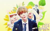 HBD ♥ EXO M - LUHAN