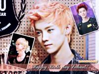 HBD Luhan ^_^ [20.04.2014]