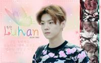 EXO:Happy Luhan Day 25th