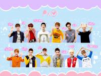 EXO CUTEBOys