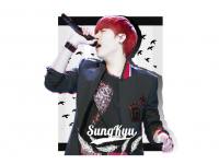 sungkyu