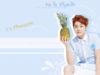 he is xiumin