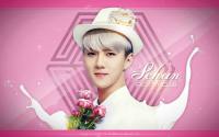 EXO ♥ SEHUN IVY CLUB 2014