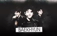 HBD ♥ BAEKHYUN :: EXO #2