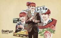 EXO ::Baekhyun::