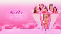 Apink - Mr.chu ~