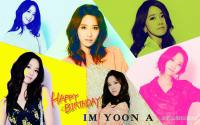 HBD Im Yoon A 02