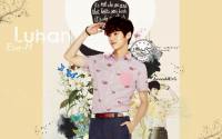 Luhan EXO Wallpaper