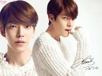 Kim Woo Bin