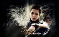 Hoya Infinite Paradise Wallpaper