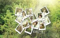 [LATEPOST] EXO-K for Nature Republic