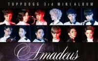 ToppDogg - Amadeus